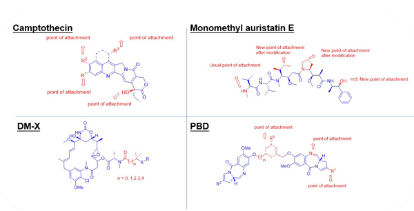 PROTAC类分子砌块产品.jpg