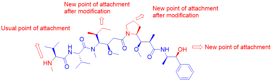 Monomethyl auristatin E.png