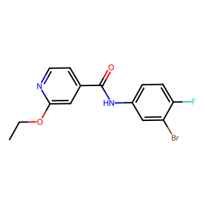 N-(3-溴-4-氟苯基)-2-乙氧基异烟酰胺