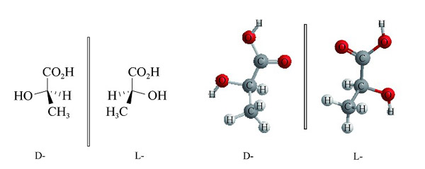 图2 D-型和L-型的乳酸分子结构