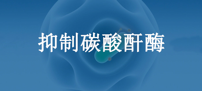 抑制碳酸酐酶.webp