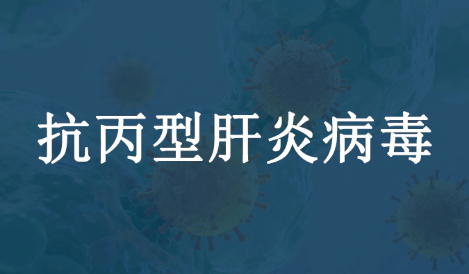 抗丙型肝炎病毒.webp
